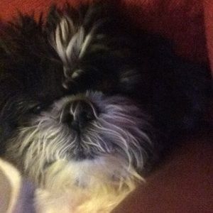 Meet your Posher, Kate